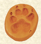 Pet pawprint